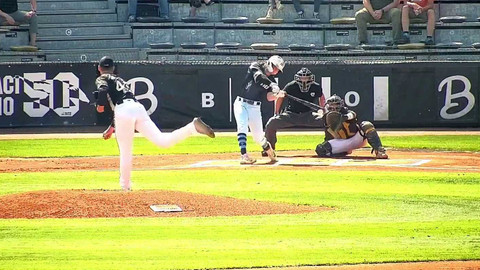 Česká baseballová Extraliga - Draci Brno - Cardion Hroši Brno
