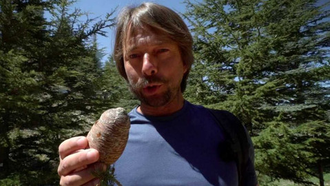 Postřehy odjinud - Libanon očima Štěpána Macháčka