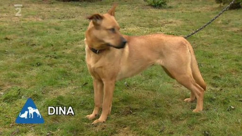 Chcete mě? - Chcete je?