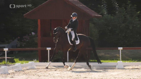 Jezdectví - MČR v drezuře Brno