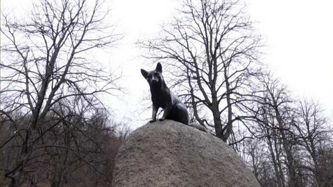 Toulavá kamera - 15. ledna 2023