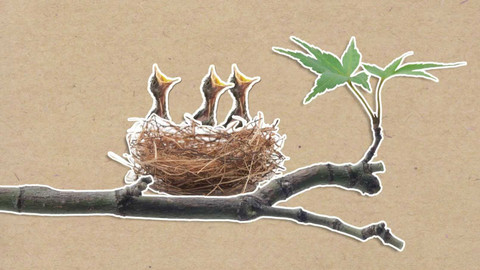 To je něco! - Je pravda, že ptáci opustí své mládě, když se ho dotkneme?