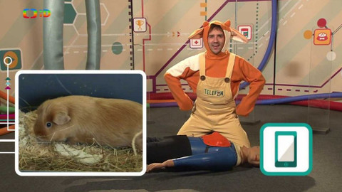 Telefon - 15. prosince 2017