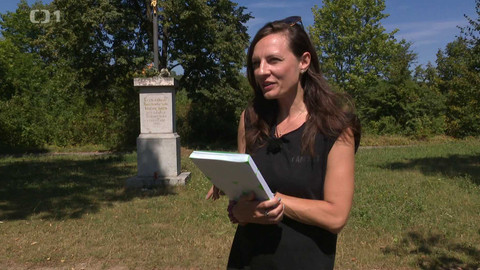 Týden v regionech (Brno) - 17. srpna 2024