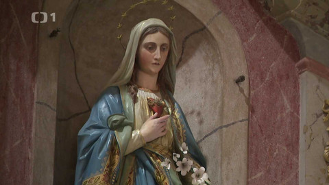 Týden v regionech (Brno) - 22. listopadu