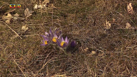 Zprávičky - 13. března 2022