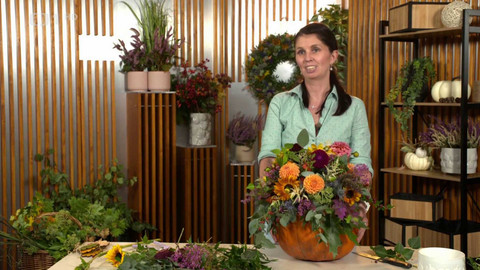 Hobby naší doby - 25. října