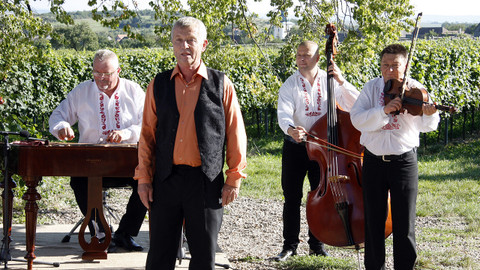 Vínečko - Vinice Šobes