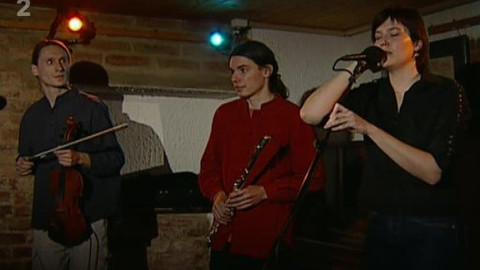 Blues ze Staré Pekárny / Sólo pro... - Dún an Doras