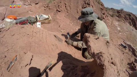 Zprávičky - 26. února 2022