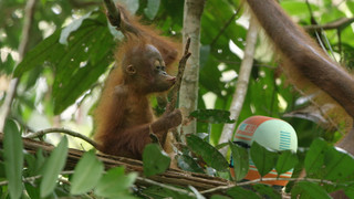 Andy a cesta kolem světa