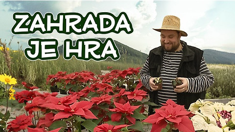 Zahrada je hra