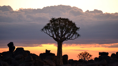 Na cestě - Na cestě po jižní Namibii