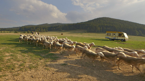 Farmářská jízda - 3/16 Na ovčí statek Brníčko