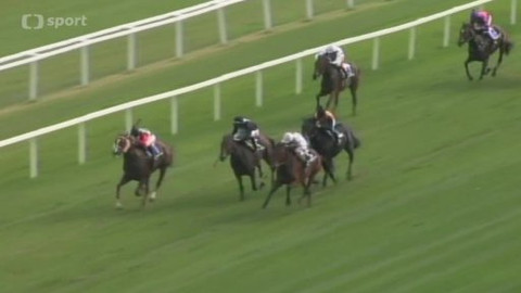 Turf - 9. října 2013