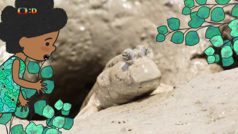 Velká kniha o zvířátkách - Epizoda 44/52