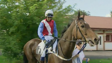 Turf - 1. října 2014