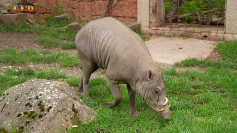 Wifina - 6. září 2024