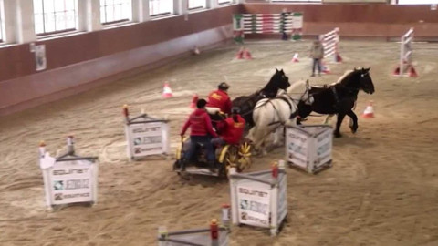 Zimní Jezdecký pohár 2016 - Brno