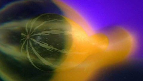 Pod pokličkou - Tykve - podzimní ozdoba vaší zahrady i jídelníčku