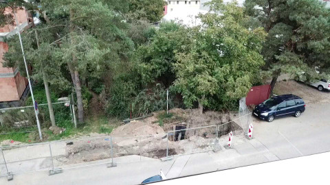 Černé ovce - 12. listopadu