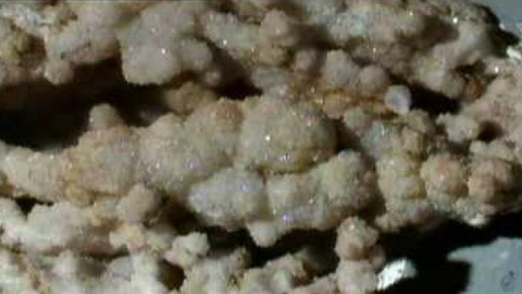 Živé srdce Evropy - Strážník