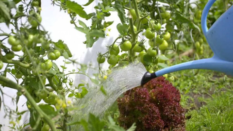 Kapka vody - Šedá voda její čištění