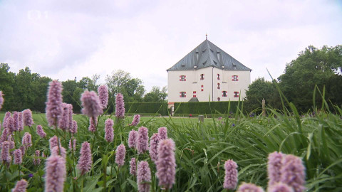 Z metropole - 9. srpna