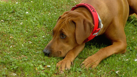 Chcete mě? - 25. října 2015