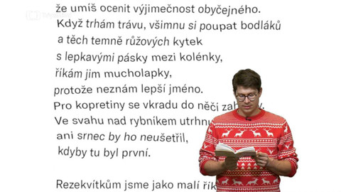 Jedna báseň - Radek Štěpánek