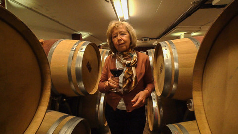 Postřehy odjinud - Burgenland očima Marie Woodhamsové