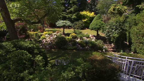 Z metropole - 17. října 2020