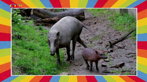 Tamtam - 9. května 2020