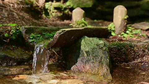 Kapka vody - Studánky a jejich přínos