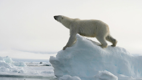 Krajiny sezónních zázraků - 2/3 Špicberky