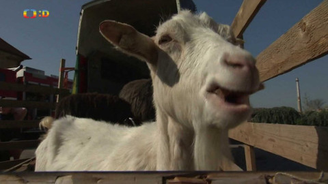 Zprávičky - 17. dubna 2019