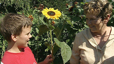 Rodinné křižovatky - Mezní situace