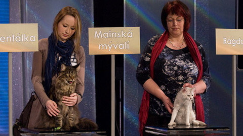 Zázraky přírody - 21. dubna 2012