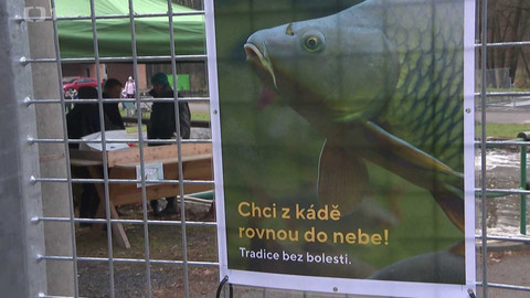 Události v regionech (jih a západ) - 19. prosince 2024