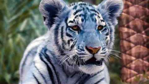 Zprávičky - 25. února 2012