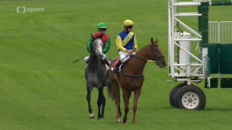 Turf - 9. září 2015