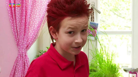 Draci v hrnci - I když nemá bakuli, podobá se cibuli