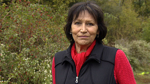 Chcete mě? - 6. listopadu 2011