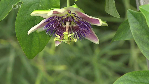 Týden v regionech (Brno) - 26. února 2022