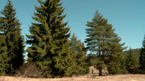 Novinky z přírody - Epizoda 48/53