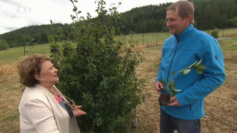 Hobby naší doby - 6. října 2018