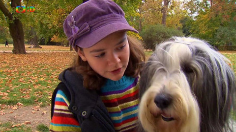 Terčin zvířecí svět - 21. prosince 2018