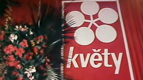 Archiv dne - 18. leden 1981: Ples Květů