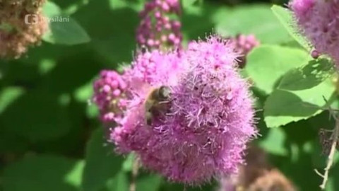 Dětská encyklopedie světa - 10/21 Plod