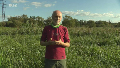 Nedej se! - Kdo potřebuje Velký Mošnov?